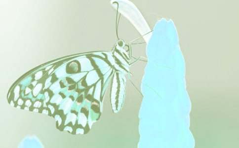 �^(gu��n)���(d��ng)ֲ��Ć�ʾ����