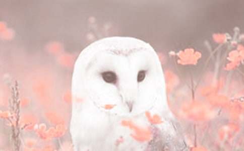 ���P(gu��n)�^(gu��n)���(d��ng)ֲ�������