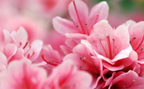 ���N�����꼉����200�֣�ͨ��31ƪ��