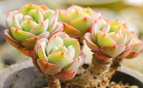 �����^(gu��n)����ӛ����6ƪ