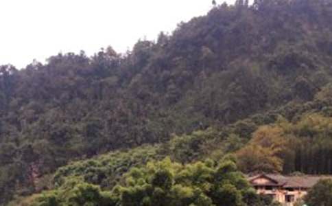 ����üɽ�¸衷�̌W(xu��)�OӋ