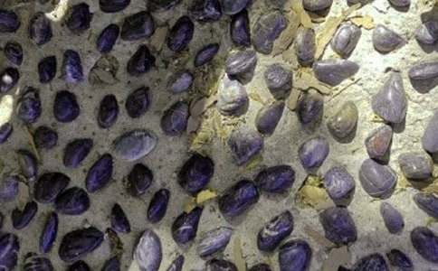 鵝卵石小徑上的童年作文