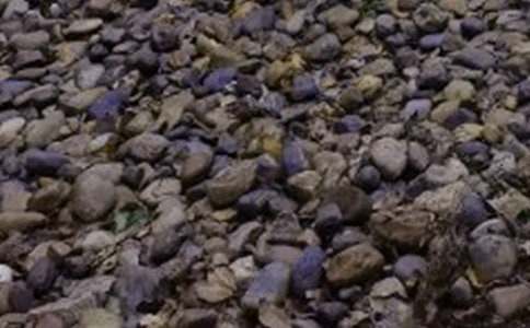 �������(d��ng)���Һ��Z��ʯ�����ѡ��̰�