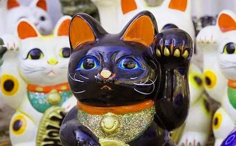 有關(guān)發(fā)財樹(shù)作文3篇