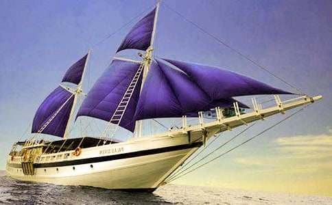 �ҵļ���������