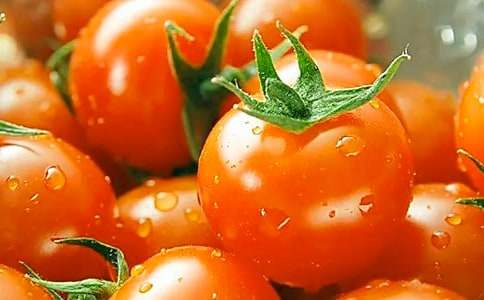 ��һ�������ѵ���������