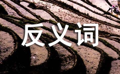 �~�Z(y��)һ�����ݷ��x�~