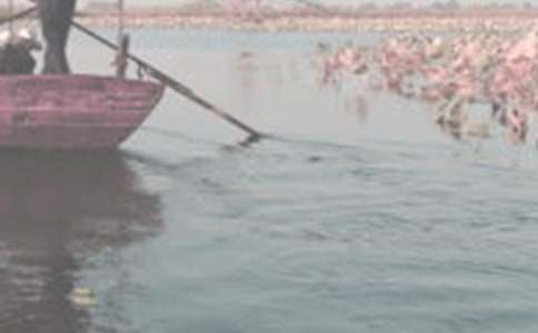 ������������(ͨ��4ƪ)