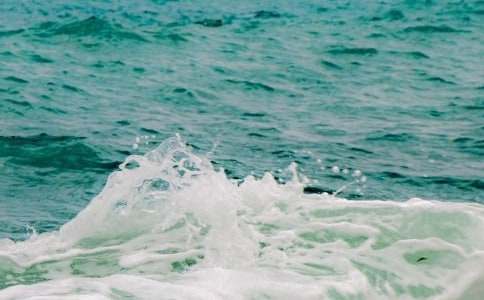 �w�B(ni��o)���~(y��)���~