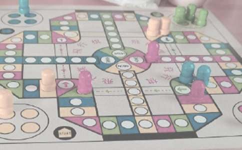 飛行棋小學(xué)作文