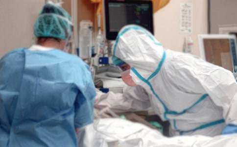 【精品】狗窩作文300字四篇