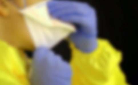 狗窩作文400字9篇