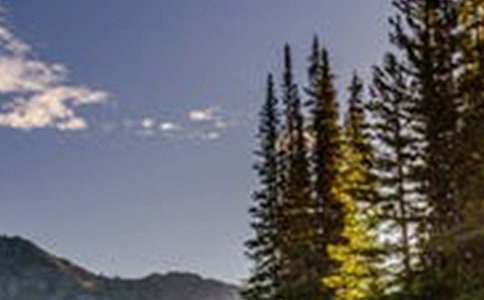 有一種風(fēng)景叫文明作文(精選22篇)