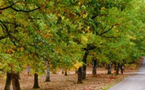 ��ԓ�e�^(gu��)���L(f��ng)�����ģ����x49ƪ��