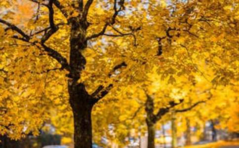 �e�ӵ��L(f��ng)����������600�֣����x45ƪ��