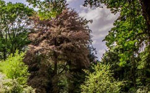 ��B���B�L(f��ng)��������