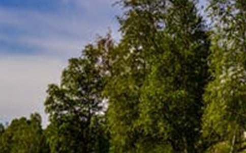 һ���e�ӵ��L(f��ng)������