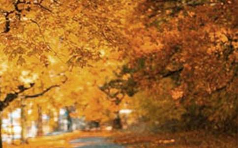 �������ľ��x�������е��L(f��ng)��