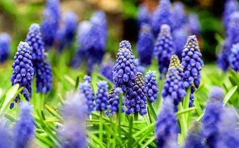 �L(f��ng)��������700��