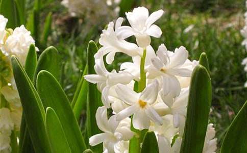 �������L(f��ng)��������9ƪ