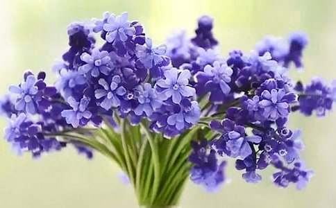 �茑(xi��)�L(f��ng)���ӵ�����400�֣����x74ƪ��