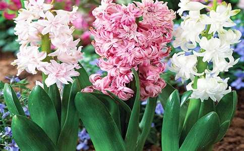 �Ґ�(��i)�L(f��ng)����С�W(xu��)����