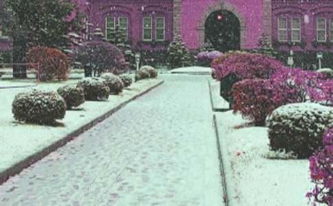 С�W(xu��)��(y��u)�������L(f��ng)ѩ�е�����