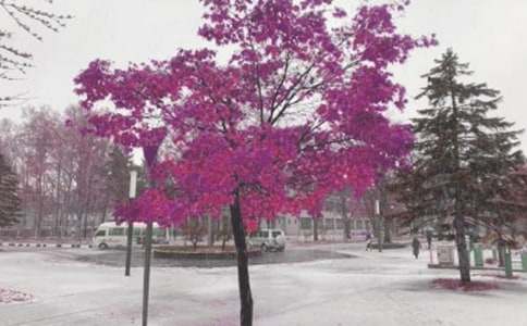 ���ֽ��^�L(f��ng)ѩɽ��R���x��з���