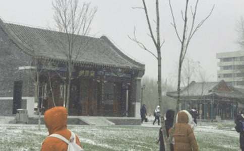 �L(f��ng)ѩ�еĜ�ů����4ƪ