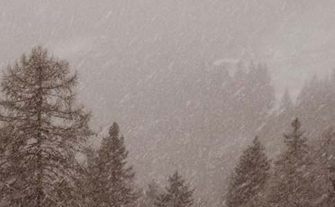 �L(f��ng)ѩ·������950��