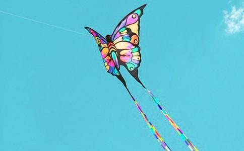 С�ܷ��L(f��ng)�~���D��(xi��)Ԓ(hu��)���ģ�ͨ��10ƪ��