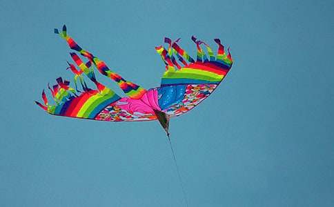 ��ɫ���L(f��ng)�~�а����W(xu��)�̰�