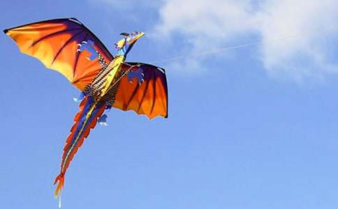 С�W(xu��)�Z(y��)�ļ������L(f��ng)�~�̰�