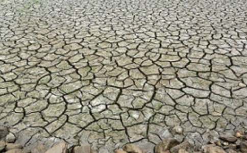 617防治荒漠化和干旱日的活動(dòng)簡(jiǎn)報