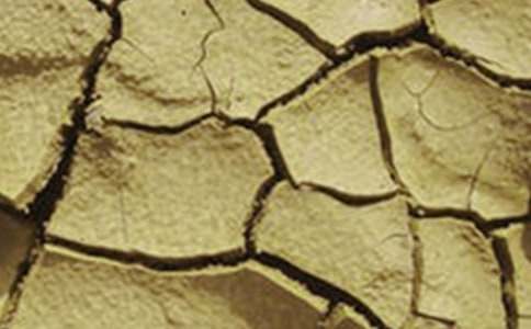 �����ֹ��Į���͸ɺ��գ����o�h(hu��n)�����h��(sh��)