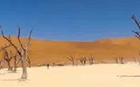 6月17世界防止荒漠化和干旱日:一抹綠色的和諧作文