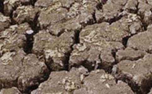  �����ֹ��Į���͸ɺ������ģ��ƴ���Ȼ���c��Ȼ���C��̎