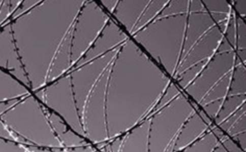 �����]������呟�����F�L(ch��ng)������2ƪ