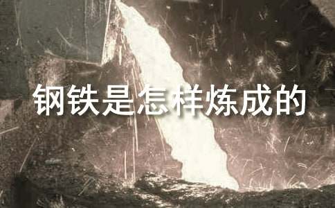 鋼鐵是怎樣煉成的讀書(shū)筆記范文