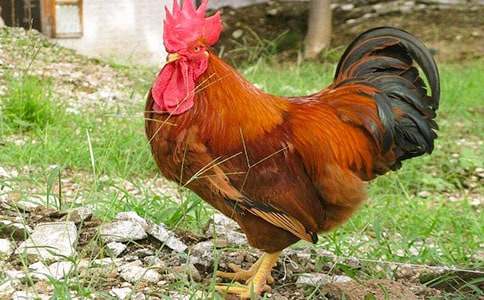 ���꼉�σԡ������Ĺ��u�� �ڶ��n�r(sh��)�̰��OӋ