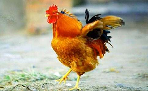 ���uС��̰��Z(y��)��