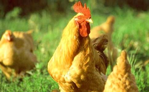 ���꼉���g(sh��)��(y��u)��̰����G���Ĵ��u����ͨ��14ƪ��