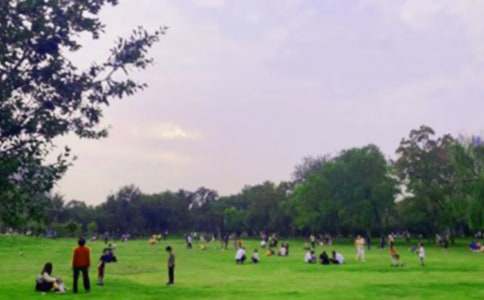 �P(gu��n)�ں�ƽ���@����300����ƪ