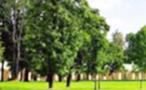 ���o���@һ��������