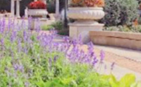 �а���x�̰�����(y��u)��(y��u)ȥ���@