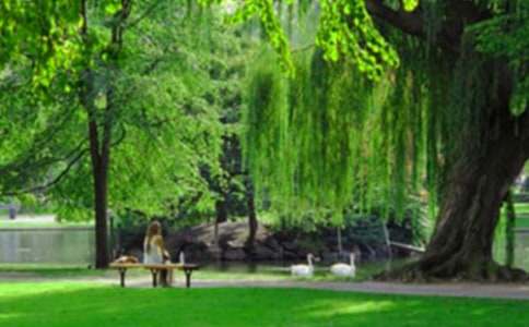 ���Z���칫�@���ģ�ͨ��15ƪ��