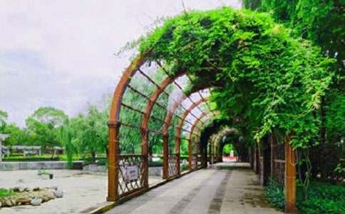 �������Ϻ����@���ģ�ͨ��23ƪ��