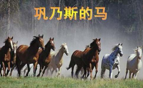 ���˹���R�̰�ppt