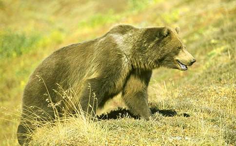 �����u(m��i)��(sh��)���ģ����x10ƪ��