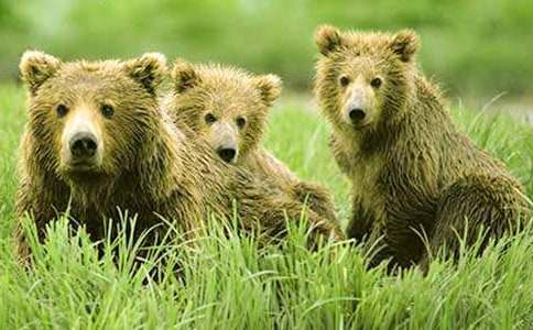 ������}��ֻ�����̰ܽ�